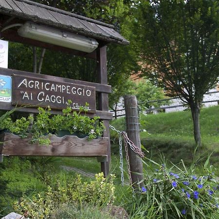 Agricampeggio Ai Gaggi Pellizzano Exterior foto