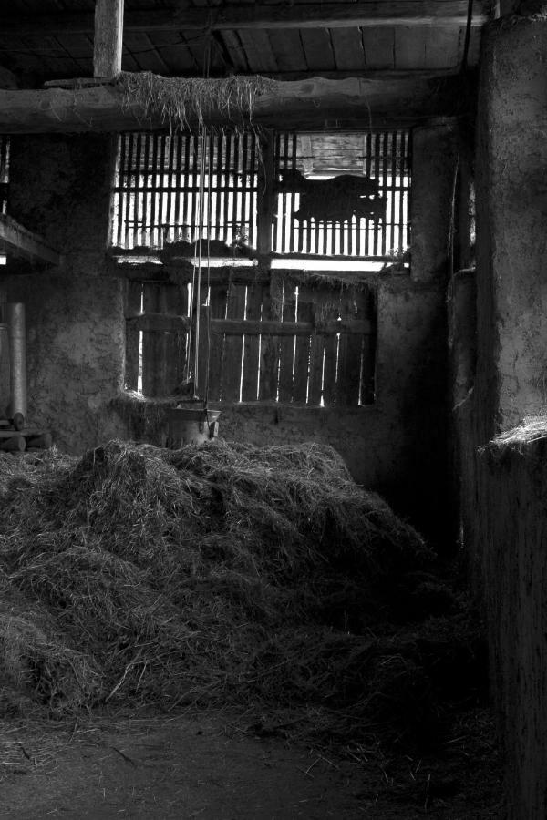 Agricampeggio Ai Gaggi Pellizzano Exterior foto
